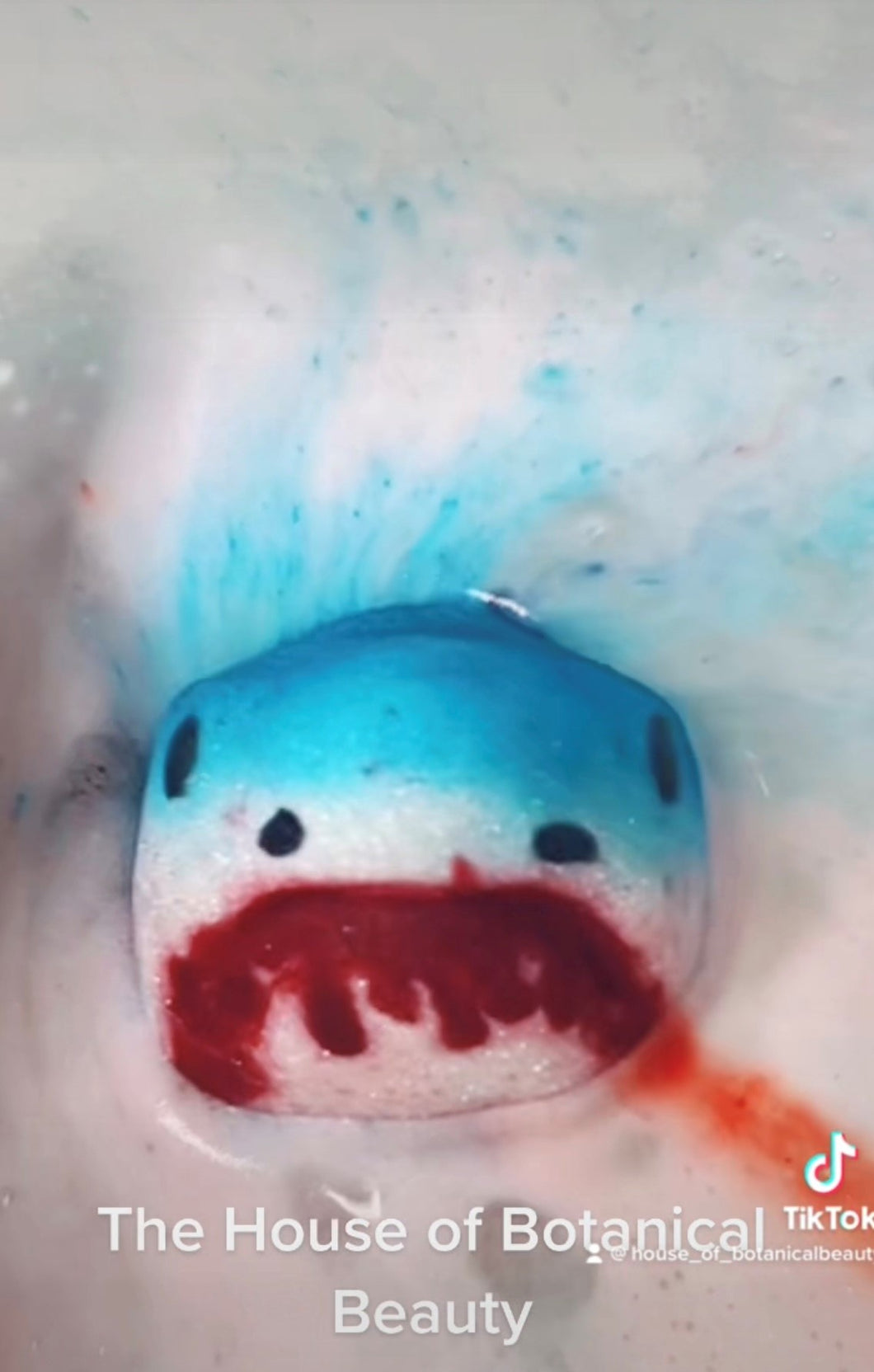 Shark head Bath Bomb – The House of Botanical Beauty